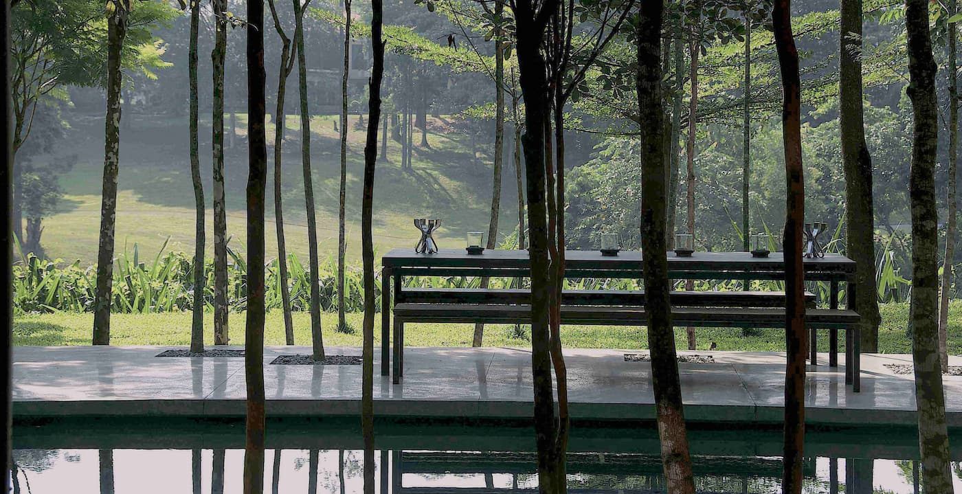 plantation screens and the distant hues of a borrowed landscape - august 2008